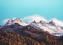 山东男篮社媒分享为陈林坚庆生视频：首秀叠加生日，buff拉满