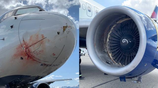 1617181974875087959.jpg 下载.jpg